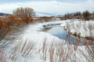 Salt River 125